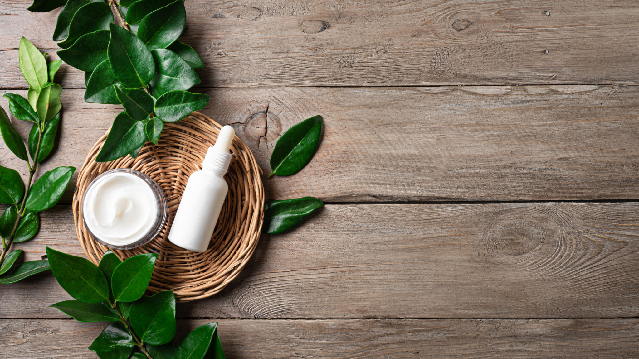 plant based products
