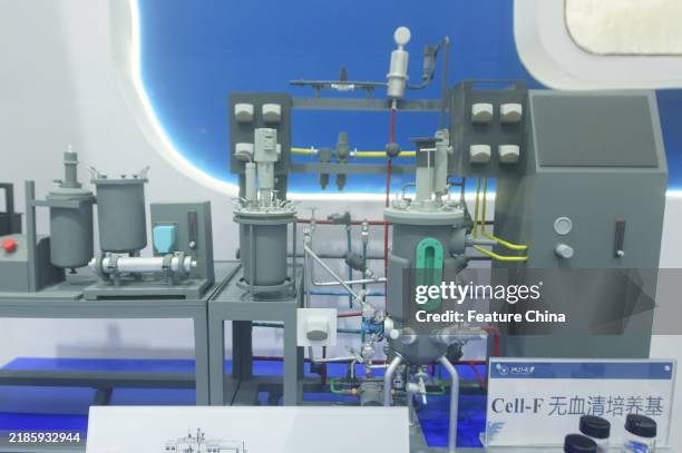 22 Lab Grown Fish Stock Photos, High-Res Pictures, and Images - Getty ...