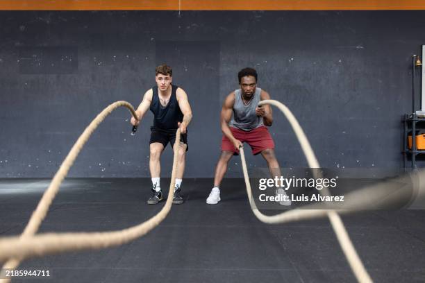 Gym Two Ropes 1,157 Battle Ropes Man Stock Photos, High-Res Pictures, and Images ...