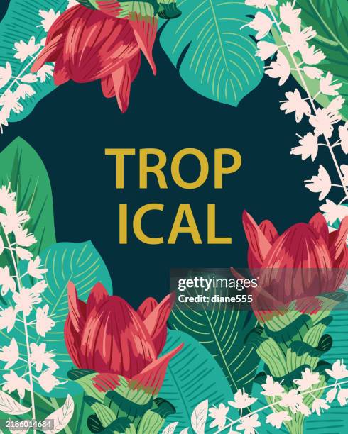 tropical flowers greeting card template - ginger flower stock illustrations