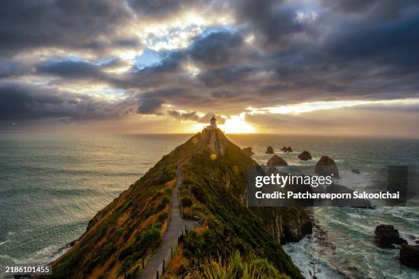 lighthouse, new zealand - canterbury region new zealand stock pictures, royalty-free photos & images