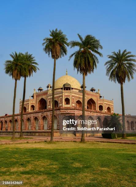 the most famous snap of the humayun tomb in delhi - new delhi stock pictures, royalty-free photos & images