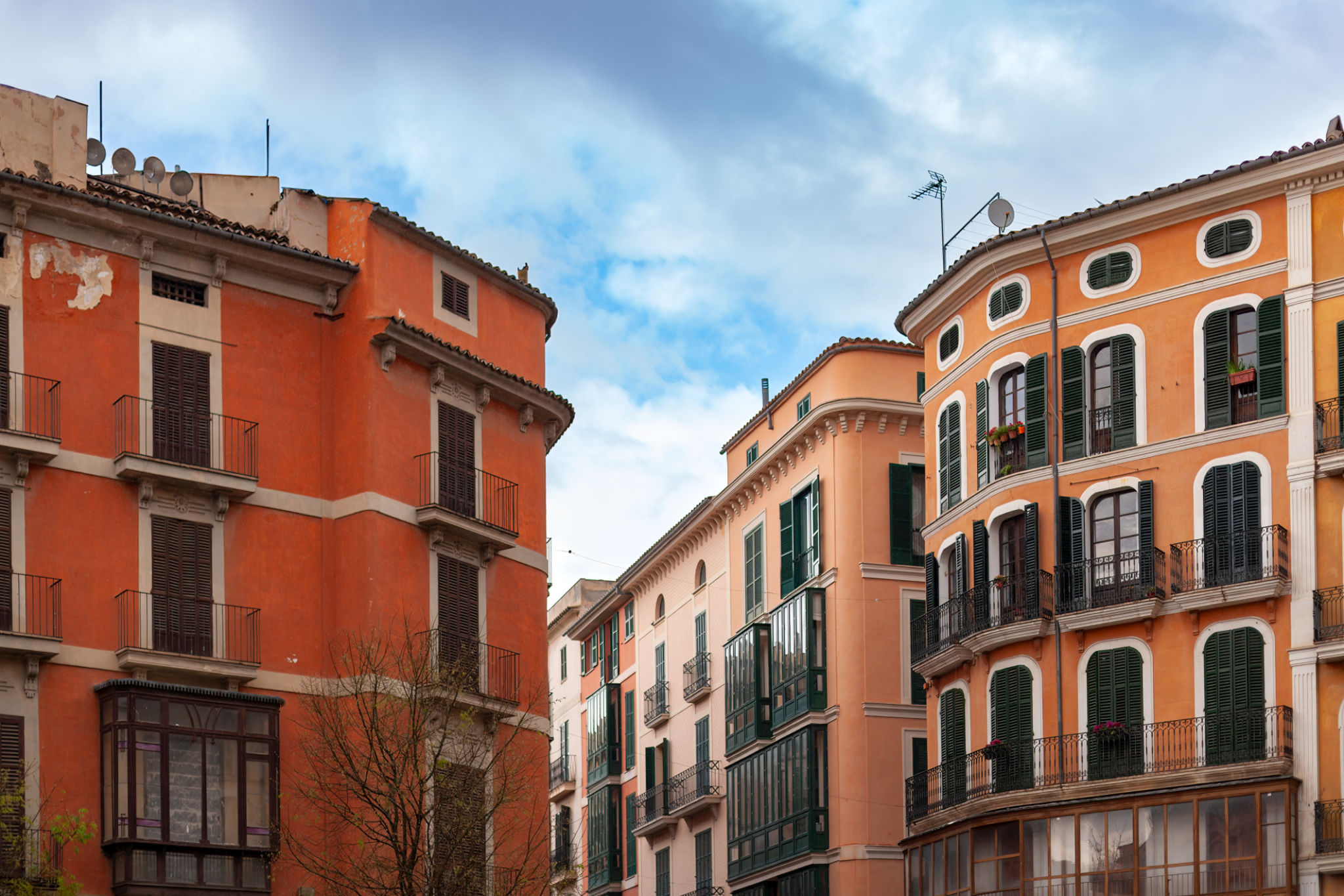 palma street
