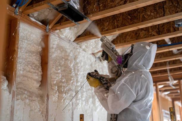 Insulation Inmages 16,574 Insulation Materials Stock Photos, High-Res Pictures, and Images ...