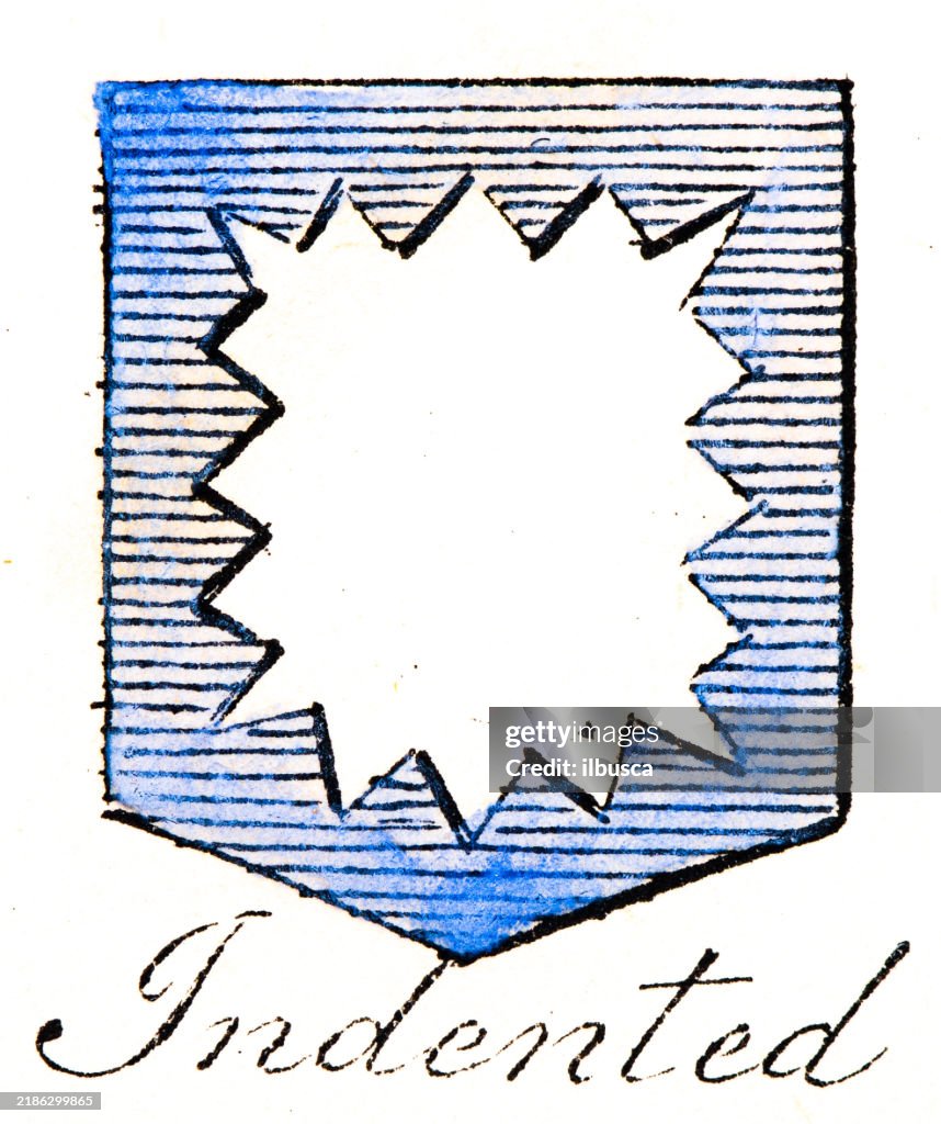Simple Heraldry Heraldry Coat Of Arms Elements And Families Indented High-Res Vector ...