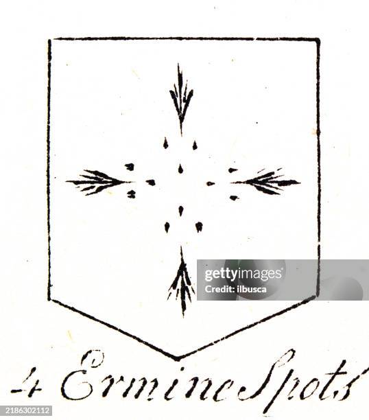 Heraldry Coat Of Arms Elements And Families 4 Ermine Spots High-Res ...