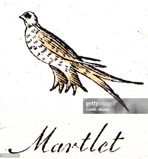 Martlet Heraldry Coat Of Arms Elements And Families Martlet High-Res Vector ...