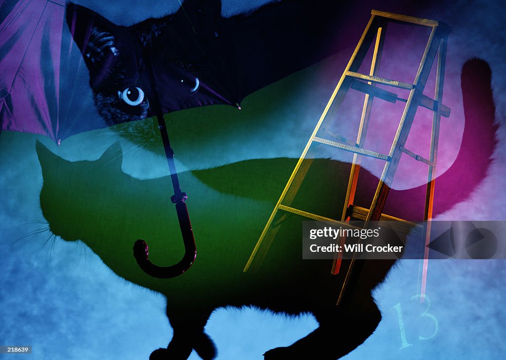 BAD LUCK COLLAGE WITH BLACK CAT & LADDER