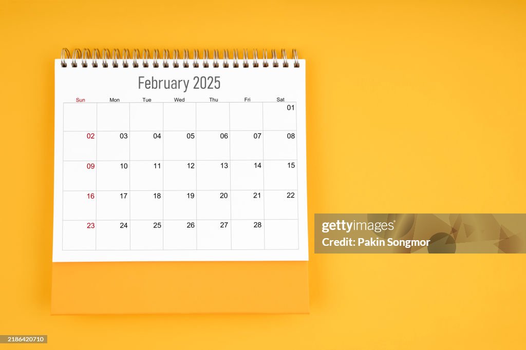 February 2025 desk calendar on yellow color background, For your appointment text.