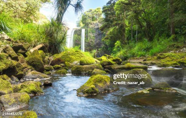 spectacular view of whangarei falls. - ilha do norte da nova zelândia imagens e fotografias de stock