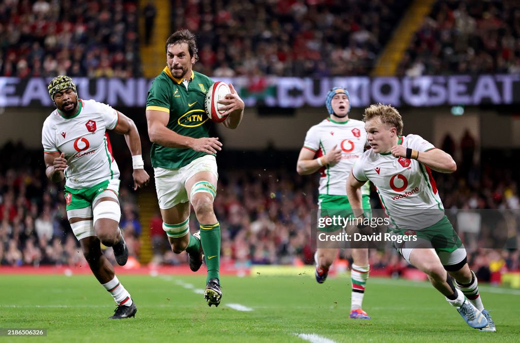 Wales v South Africa - Autumn Nations Series 2024