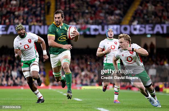 Wales v South Africa - Autumn Nations Series 2024 Wales v South Africa - Autumn Nations Series 2024