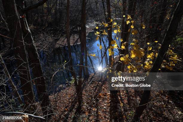 Boston, MA The Neponset River flows through the heart of Mattapan Square, giving residents access to the beautiful Neponset River Greenway. New...