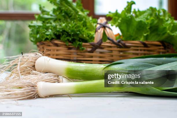 leeks and a basket of fresh vegetables on a kitchen table - poireau photos et images de collection