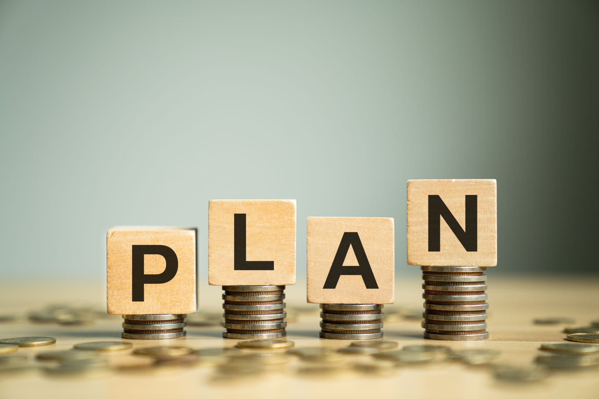 income driven plan