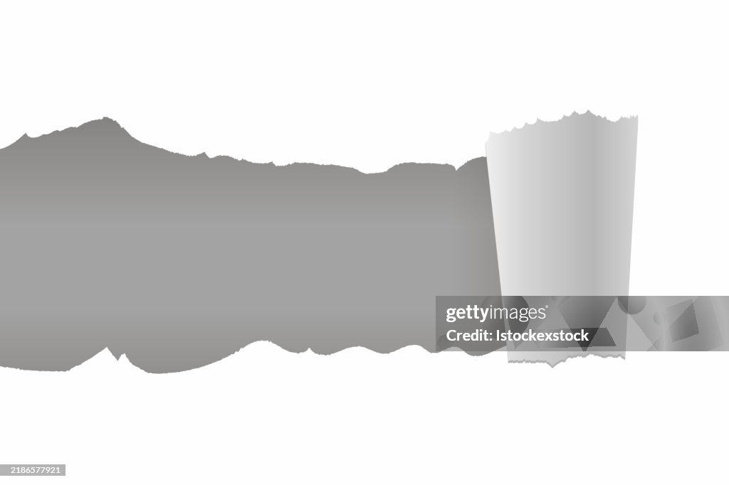 Realistisches zerrissenes Papier mit gerolltem Rand auf weißem Hintergrund