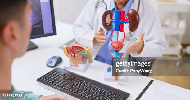 senior doctor explains urinary ill - glândula prostática imagens e fotografias de stock