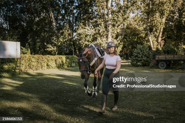 woman walking a horse on a leash in a verdant outdoor setting during the day - sports organization stock pictures, royalty-free photos & images