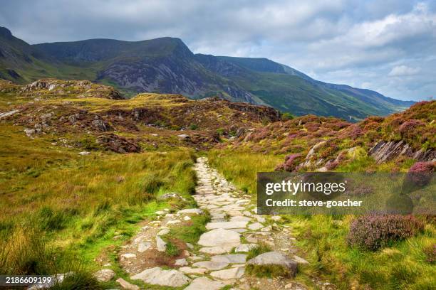 heather and grasses adorn the rugged hiking trail that circumnavigates cwm idwal in wales. - north wales stock pictures, royalty-free photos & images