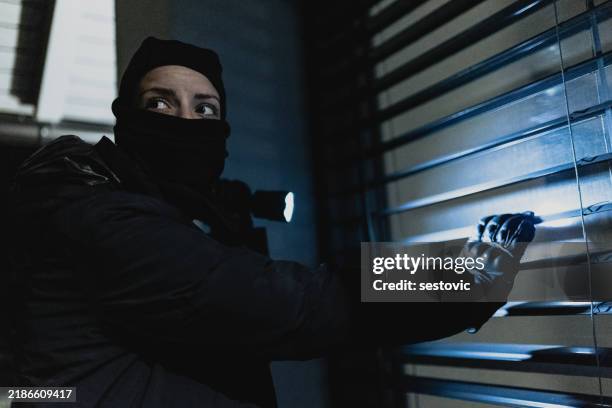 Robber Breaking In 78 Wicked Rental Stock Photos, High-Res Pictures, and Images - Getty Images