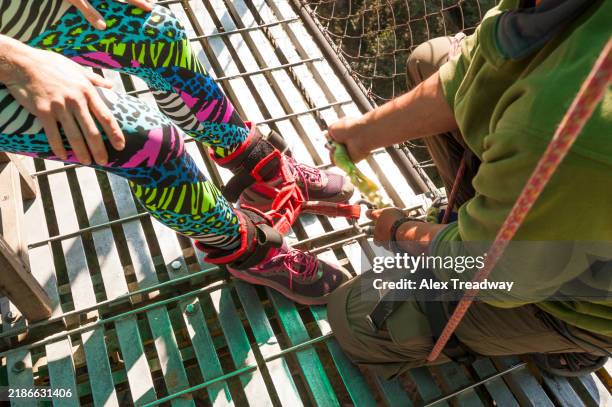 bungee jump - bungee jumping stock pictures, royalty-free photos & images