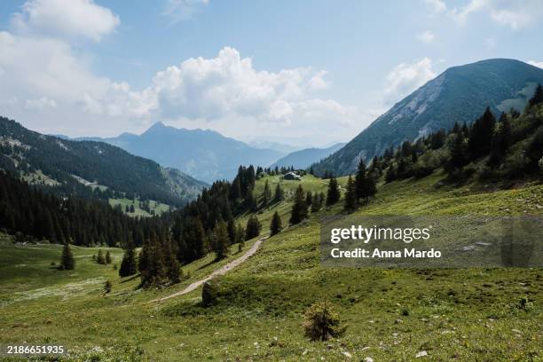 landscape shot of the mountains and meadow in the area around spitzingsee - bavaria stock pictures, royalty-free photos & images