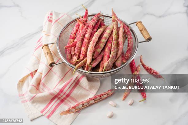 raw borlotto beans - feijão pinto imagens e fotografias de stock