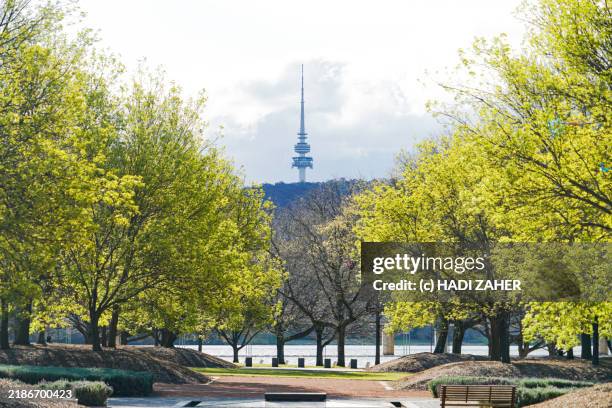a view of the iconic telstra tower in canberra, australia. - australisch hoofdstedelijk territorium stockfoto's en -beelden