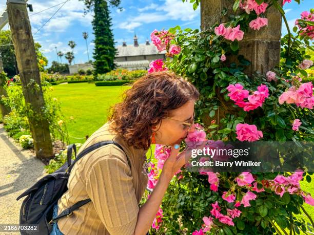 Smelling Roses Inbloom 85 Circle Botanic Stock Photos, High-Res Pictures, and Images - Getty ...