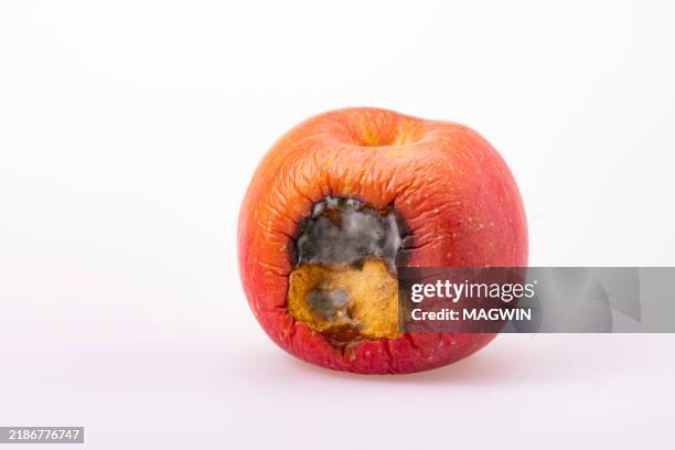 rotten apple,bite apple - rotten apple stock pictures, royalty-free photos & images