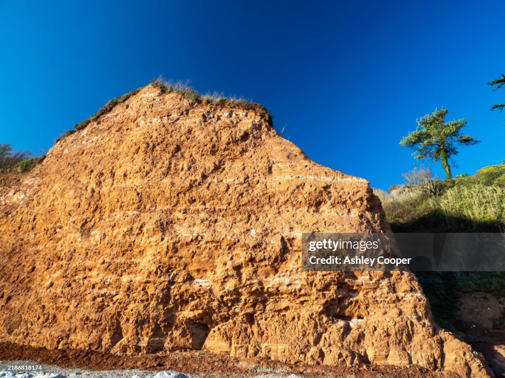 Red Triassic Mudstone cliffs between Beer and Seaton, Devon, UK.