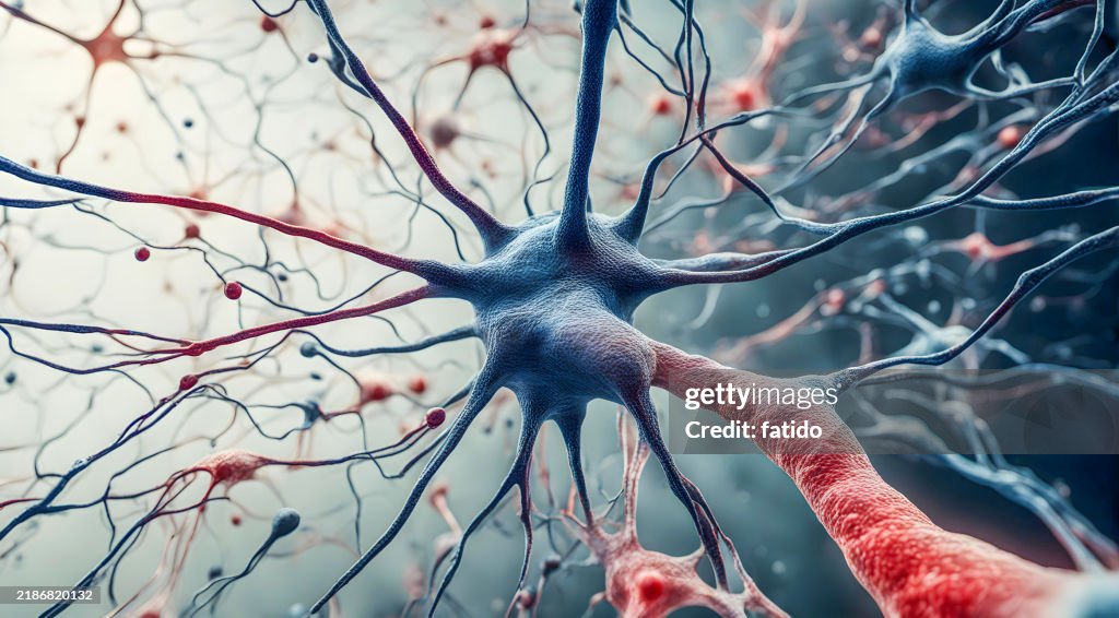 Microscopic of Neural network Brain cells