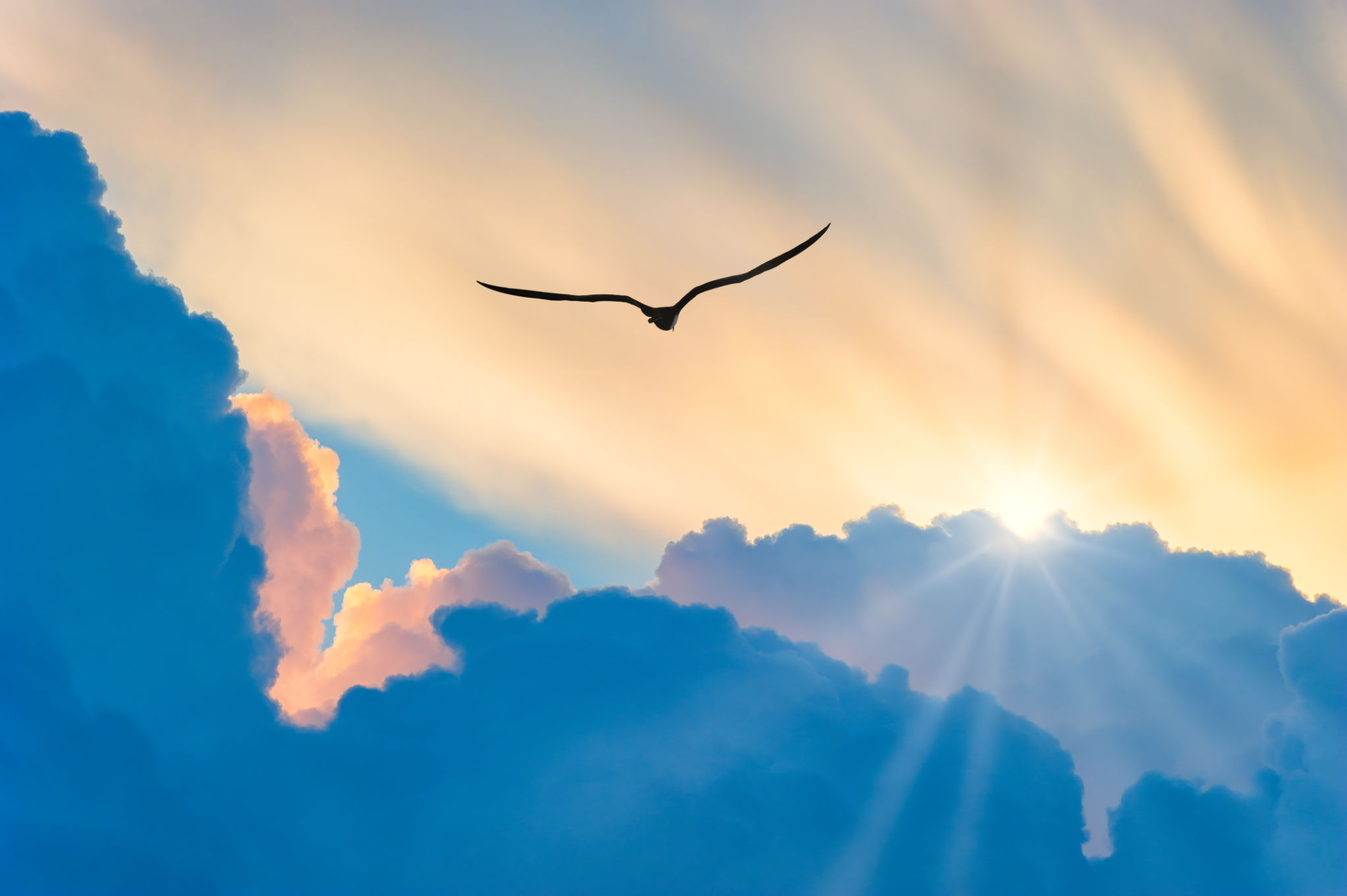 spirituality nature
