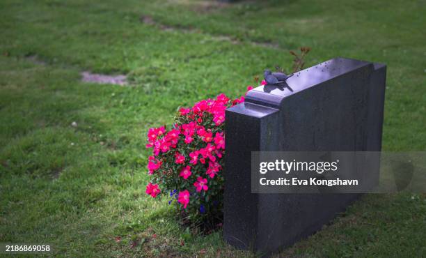 pink flowers and two small birds on the tombstone - gravestone stock pictures, royalty-free photos & images