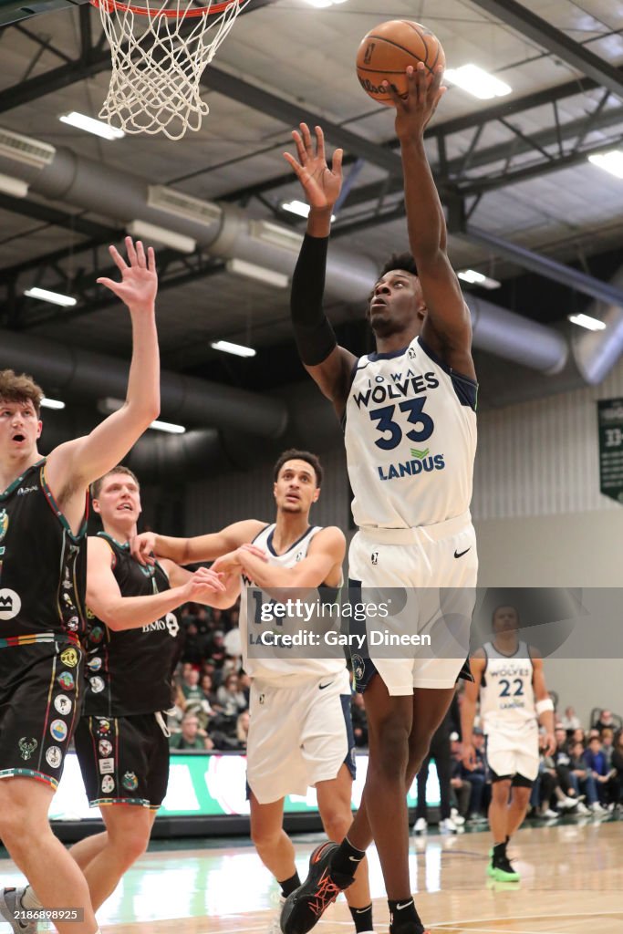 Iowa Wolves Action Leonard Miller of the Iowa Wolves lays up against Liam Robbins of the ...