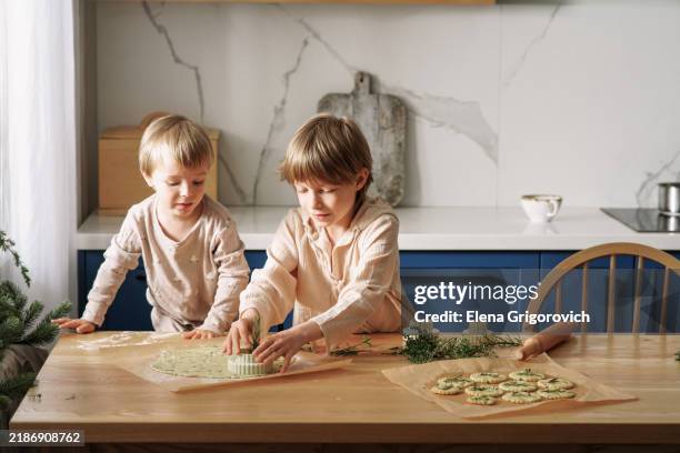 two child cooking cheese cookies with juniper twigs decorations and waiting christmas - jeneverbes conifeer stockfoto's en -beelden