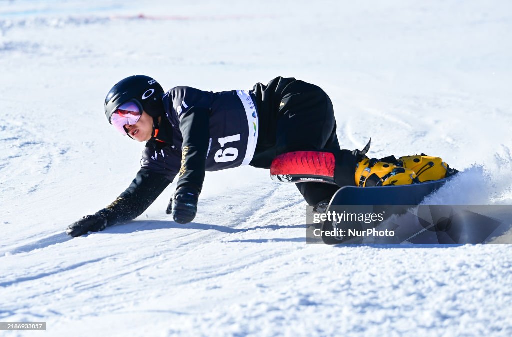 2024-2025 International Ski Federation Snowboarding Parallel Events World Cup
