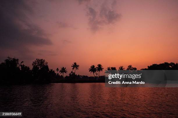 dramatic pink sunset at the kerala backwaters with palm trees - canal interior imagens e fotografias de stock