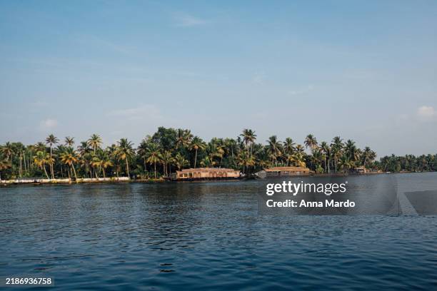 landscape image of the kerala backwaters with palm trees and water - canal interior imagens e fotografias de stock