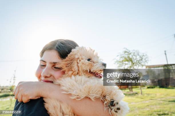 a girl holds a small dog in her arms - krasnodar stock pictures, royalty-free photos & images