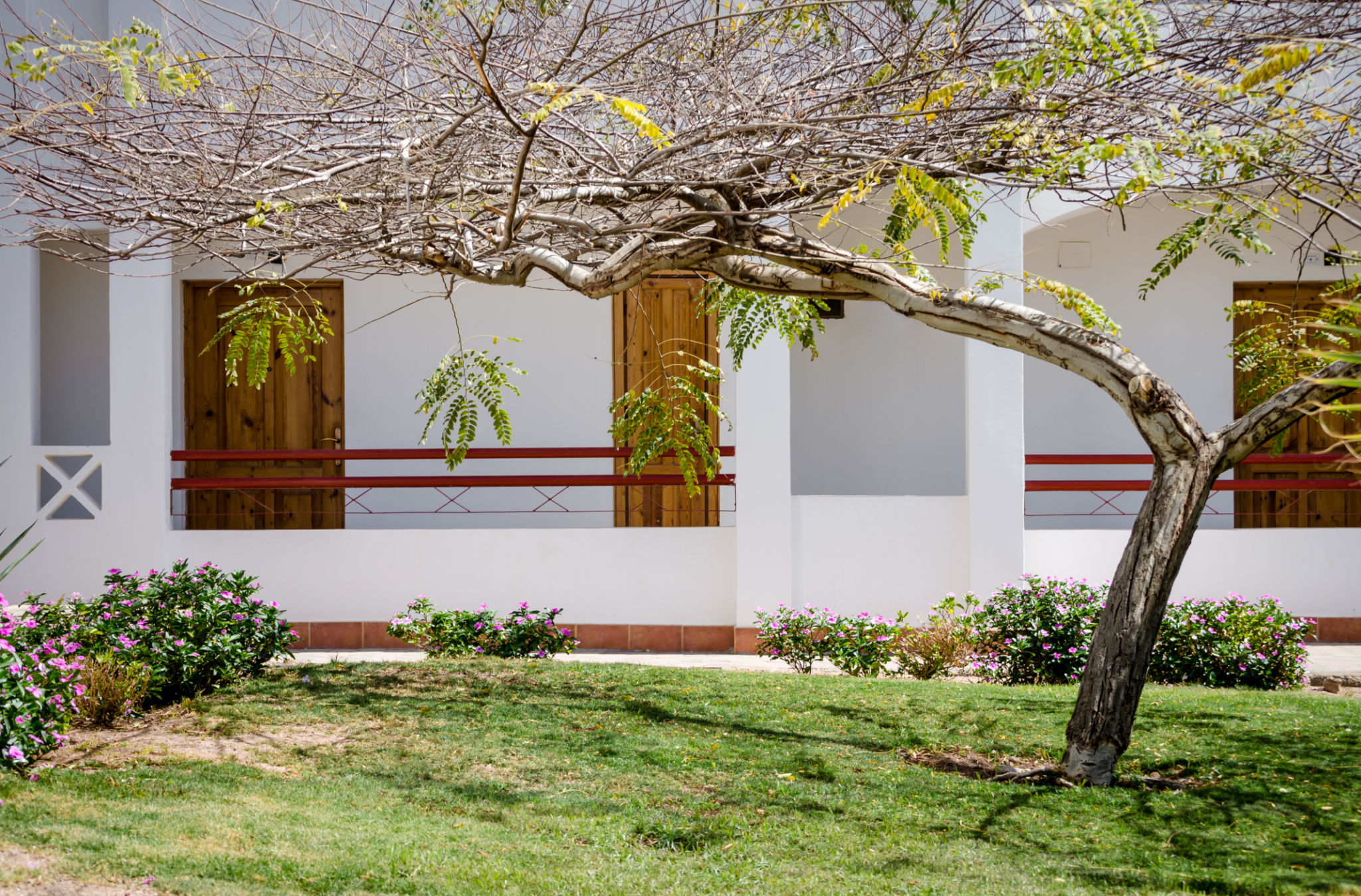 dahab accommodation