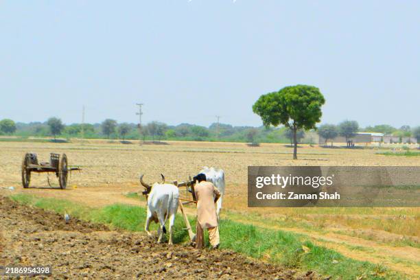 farmer ploughing in the field - plowing stock pictures, royalty-free photos & images