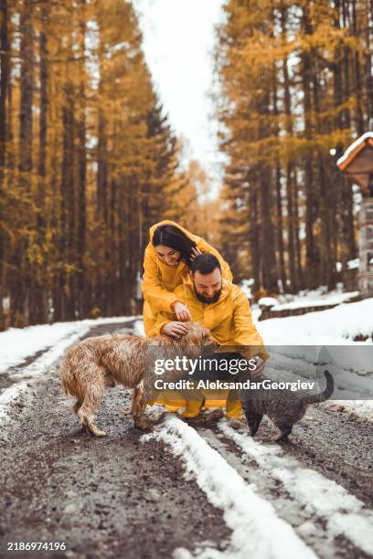 novia abrazando a su novio por detrás mientras está arrodillado acariciando perro y gato - cat raincoat fotografías e imágenes de stock