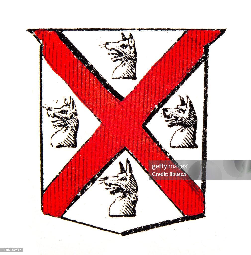 Simple Heraldry Heraldry Coat Of Arms Elements And Families High-Res Vector Graphic ...