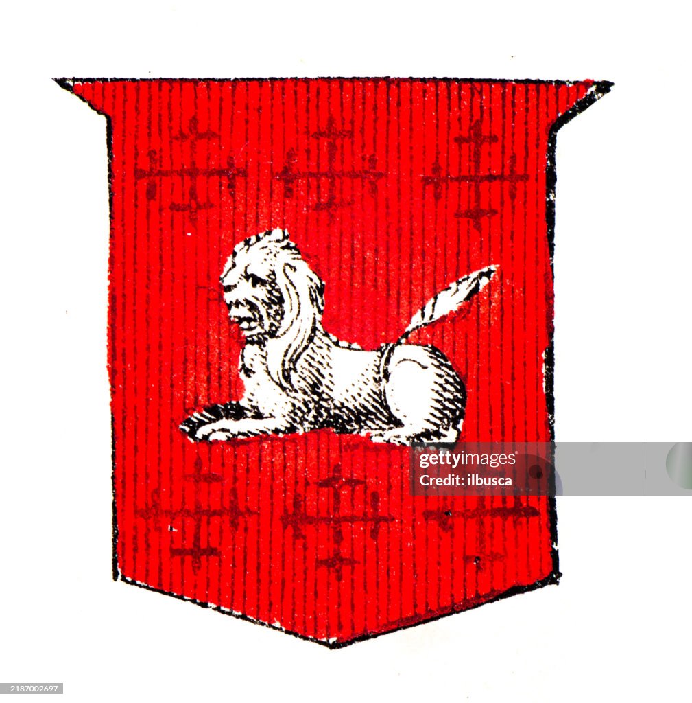 Simple Heraldry Heraldry Coat Of Arms Elements And Families High-Res Vector Graphic ...