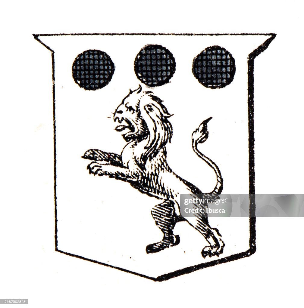 Simple Heraldry Heraldry Coat Of Arms Elements And Families High-Res Vector Graphic ...