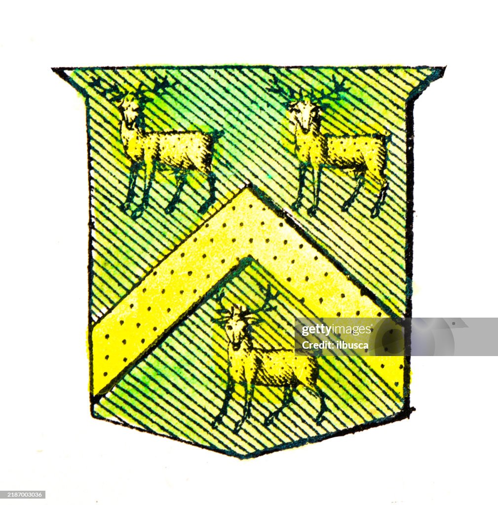 Simple Heraldry Heraldry Coat Of Arms Elements And Families High-Res Vector Graphic ...