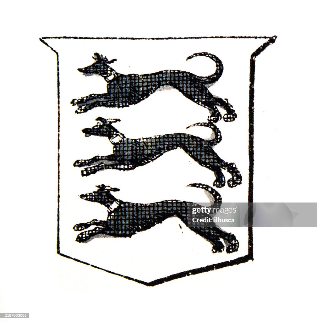 Simple Heraldry Heraldry Coat Of Arms Elements And Families High-Res Vector Graphic ...