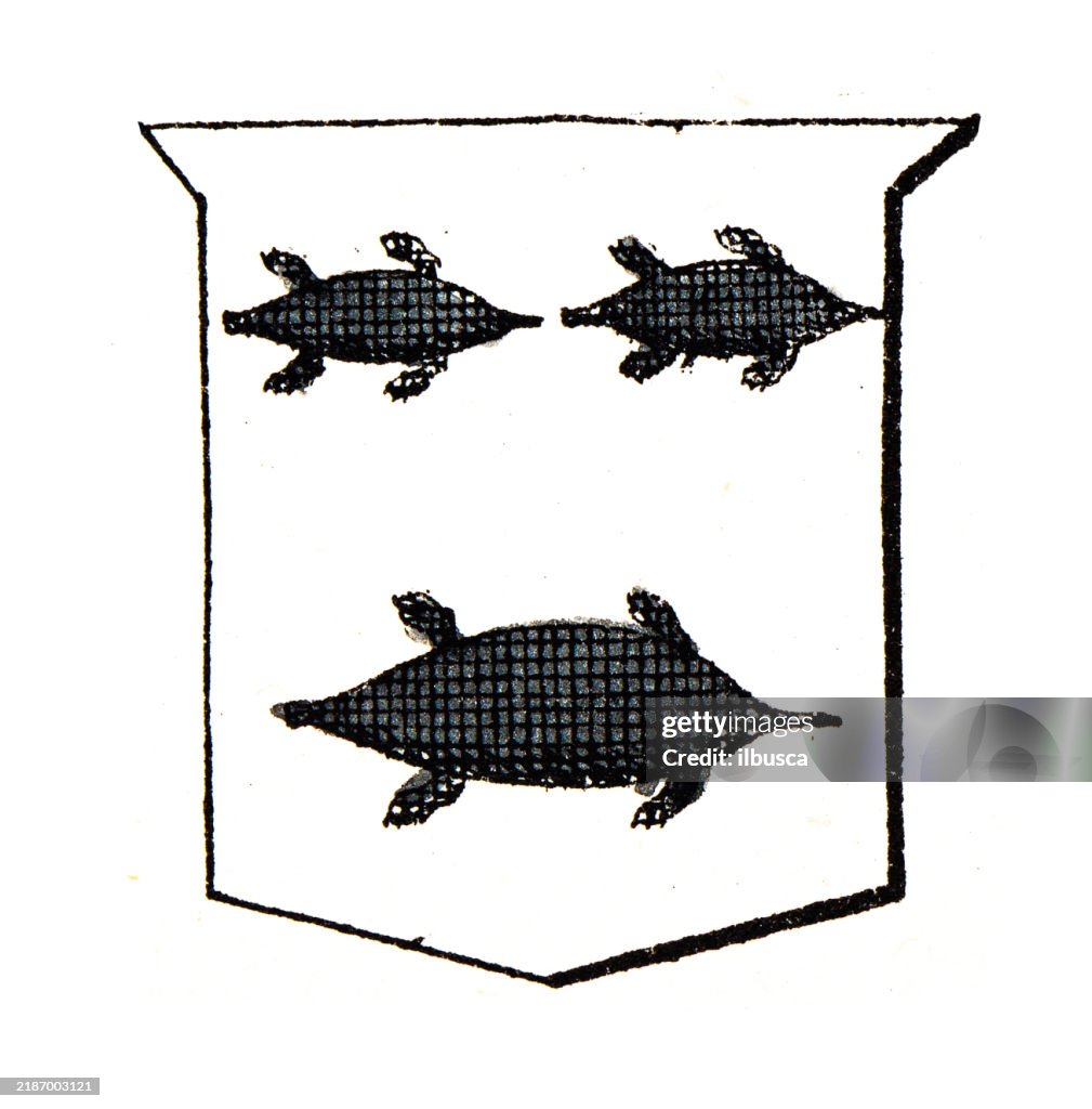 Simple Heraldry Heraldry Coat Of Arms Elements And Families High-Res Vector Graphic ...