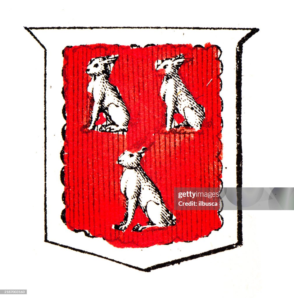 Simple Heraldry Heraldry Coat Of Arms Elements And Families High-Res Vector Graphic ...